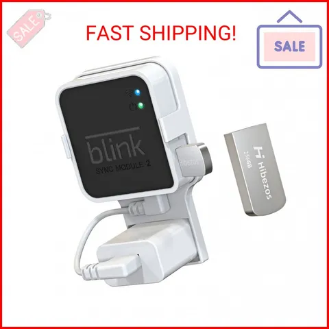 256GB USB Flash Drive and Outlet Mount for Blink Sync Module 2, Save Space and E