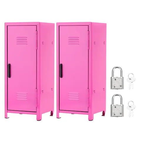 Mini Locker 4.3 x 10.8 Inch, 2 Pcs Small Locker with Lock Keys, Rose Red