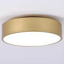 2-Light Modern Gold Flush Mount Ceiling Light 11.8 Inch | Round Ceiling Light...