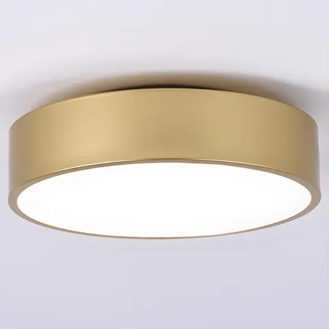 2-Light Modern Gold Flush Mount Ceiling Light 11.8 Inch | Round Ceiling Light...