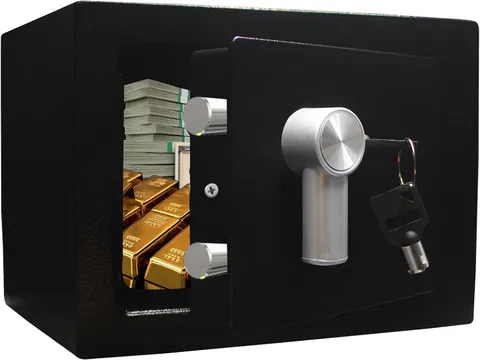 Steel Safe Box - Key Locked, 0.2 Cubic Ft Small Home Safe for Cash & Jewelry (BL