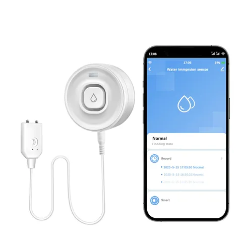 Wi-Fi Water Leak Detector, 100dB Adjustable Audio Alarm Sensor, 1 Pack 