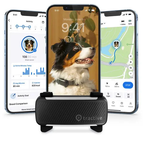 Tractive Smart Dog GPS Tracker | Live Pet Tracker with Virtual Fence | Vital ...