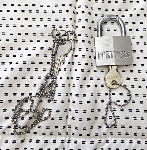 Fortress Silver Metal Padlock, Keyed Alike, Metallic Finish, 2 Keys