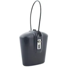 Impact-Resistant Portable Safe with Key & Combo Lock
