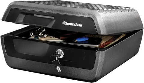 Sentrysafe Fireproof and Waterproof Document Safe with Key Lock, Lock Box for Ca