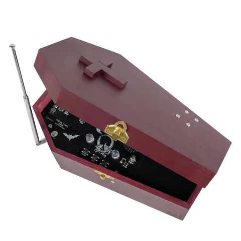 Ghost Hunting Equipment, Briidea Paranormal Detection Kit Music Box, Taking Y...