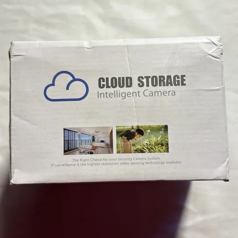 Cloud Storage Intelligent Camera Surveillance Smart Camera C31W