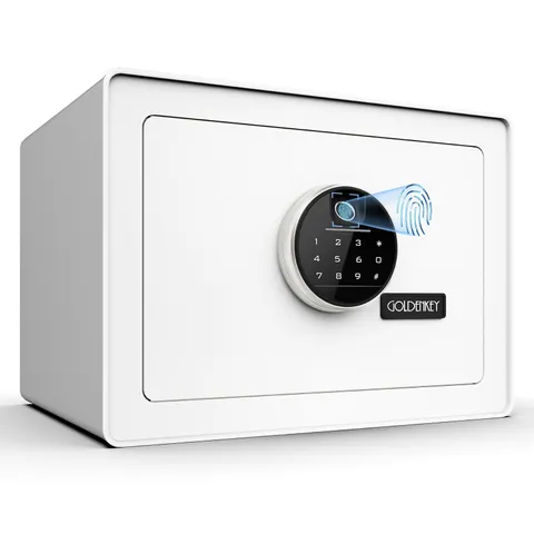 Luxury Jewelry Safe with Fingerprint&Keypad Lock, Document Safe Box with Soft...