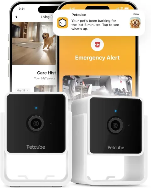 Cam the Pack of 2 | Indoor Wi-Fi Pet Security Camera with Phone App, 2-Way Audio