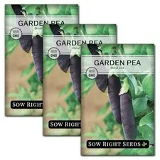 - Desiree Snow Pea Seeds for Planting - Non-GMO Heirloom Packet with 3