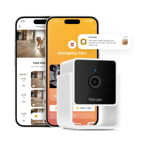 Cam Indoor Home with 1080p HD Video, -Way Audio, Motion Detection, and App, N...