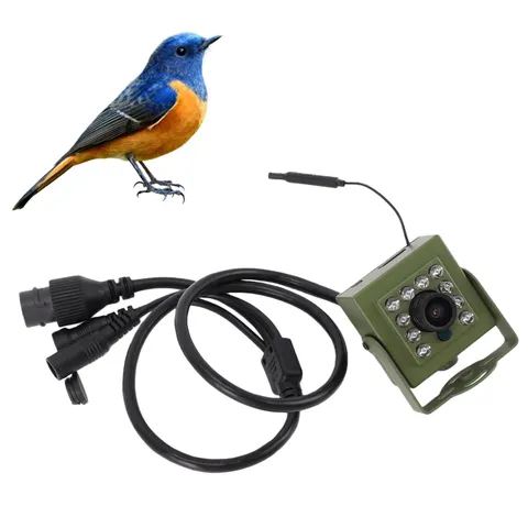 Indoor Outdoor , Bird Box with Night Vision, Low Noise Outdoor with Wide Angl...