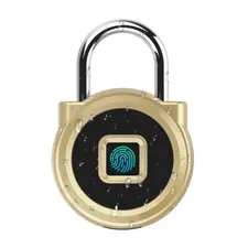 Gym Locker Padlock,Waterproof, Security Keyless for Gun Case, No App, Gold