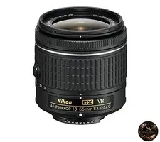 Nikon AF-P DX NIKKOR 18-55mm f/3.5-5.6G VR standard zoom lens (for Nikon DX