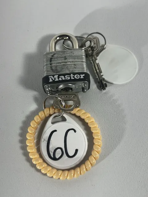 Master Lock Silver Laminated Steel Padlock, Keyed 1-1/4 inch 2 Keyes Peach Ring