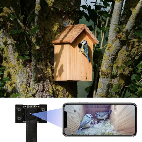 WIWACAM WiFi Bird Box Camera, 4K HD WLAN, Live Video to Phone, Easy Black