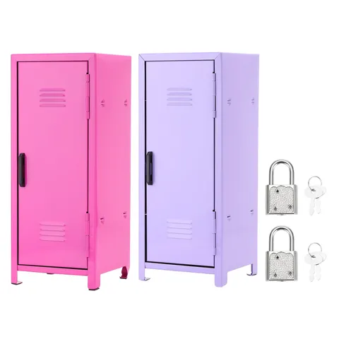 Mini Locker 4.3 x 10.8 Inch, 2 Pcs Small Locker with Lock Keys, Rose Red/Purple