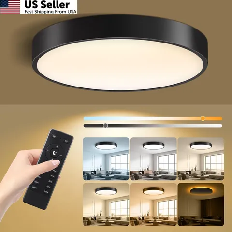 Lightania 13 Inch Flush Mount Ceiling Light with Remote 13 Inch, Black