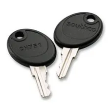 Southco PK-10-01-05 Brass CH751 Over-Molded Keys (Pack of 10)