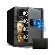 Safe Box, Home Safe with Fireproof &Waterproof Bag Caja Fuerte Para Dinero Mo...
