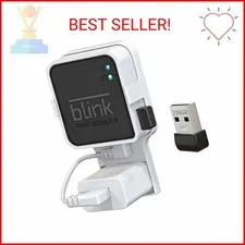 256GB USB Flash Drive with Outlet Wall Mount for Blink Sync Module 2, Space-Savi