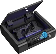 FORTRESS Portable Security Safe