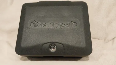Sentry Safe Fire Resistant Document Box with Key Lock. Can be screwed down