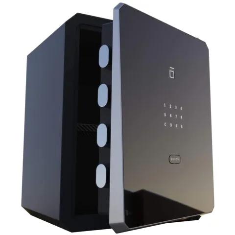 Fingerprint Password Safe Box, Anti-theft Alarm, 2.1 Cu Ft