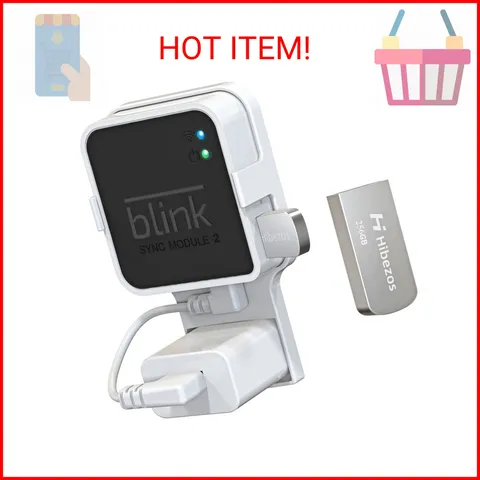 256GB USB Flash Drive and Outlet Mount for Blink Sync Module 2, Save Space and E