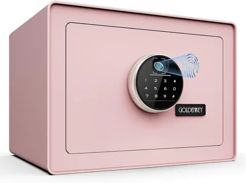 Goldenkey Luxury Jewelry Safe with Fingerprint&Keypad Lock, Document Safe Box wi
