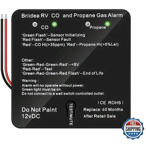 BRIIIDEA RV LP LPG CO Carbon Monoxide Propane Gas Alarm 12V RV Safety Detector