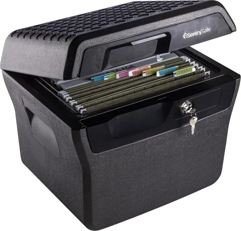 Sentrysafe Fireproof and Waterproof Lock Box with Key Lock, File Safe with Carry