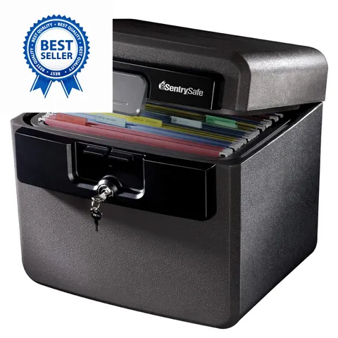 SentrySafe Black Fireproof and Waterproof Safe, File 0.65 Cubic Feet, black