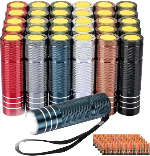 30-Pack Mini LED Flashlight Bulk Set Aluminum Glow-in-Dark Button AAA Included