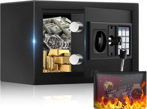 0.5 Cuft Mini Safe Box, Home Safe with Fireproof Waterproof Bag, Anti-Theft Digi
