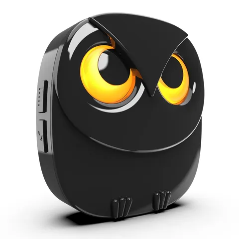 Extra Plug-in Receiver for Wireless Alarms,Black