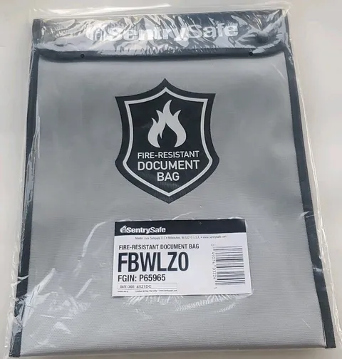 SentrySafe Fire and Water Resistant Portable Document Bag FBWLZ0
