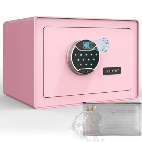 Pink Fingerprint Safe for Home, Biometric Security Safe Box with Touchscreen ...