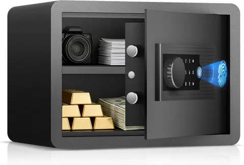 Biometric Fingerprint Home Safe, 1.0 Cubic Feet Small Digital Security Hidden Sa