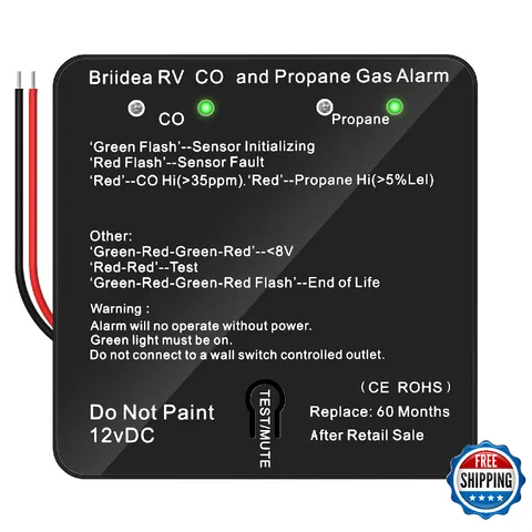 Briidea RV LP LPG CO Carbon Monoxide Propane Gas Alarm 12V RV Safety Detector