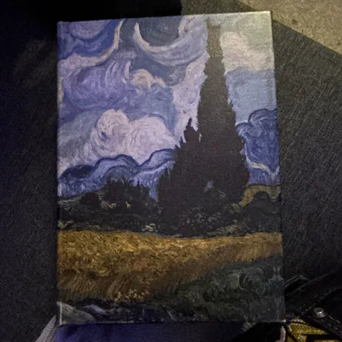 Vincent van Gogh Vol. 1 Hidden Compartment Book Lock Box Safe w/ 1 Key