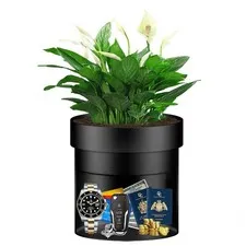 Sdstone Fireresistant Waterproof Flower Pot Diversion Safe Key Lockstainless