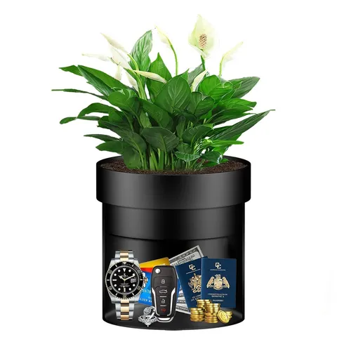 Sdstone Fireresistant Waterproof Flower Pot Diversion Safe Key Lockstainless