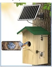 Kinetcam Bird House with Camera Solar Powered, 2K HD Wi-Fi Bird Watching Cam for
