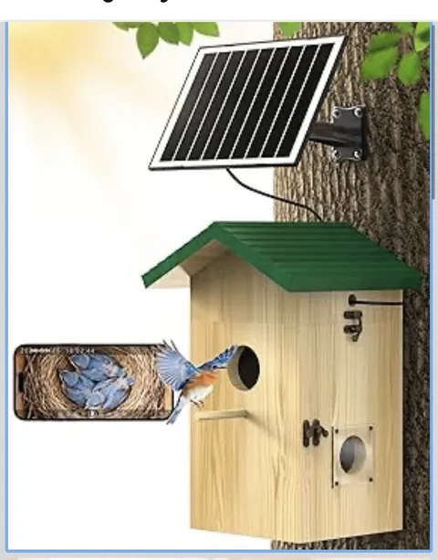 Kinetcam Bird House with Camera Solar Powered, 2K HD Wi-Fi Bird Watching Cam for