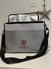 Large (17 X 12 X 5.8 Inches) Fireproof Bag, Water Resistant