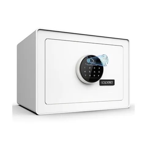 Goldenkey Luxury Jewelry Safe with Fingerprint&Keypad Lock, Document Safe Box...