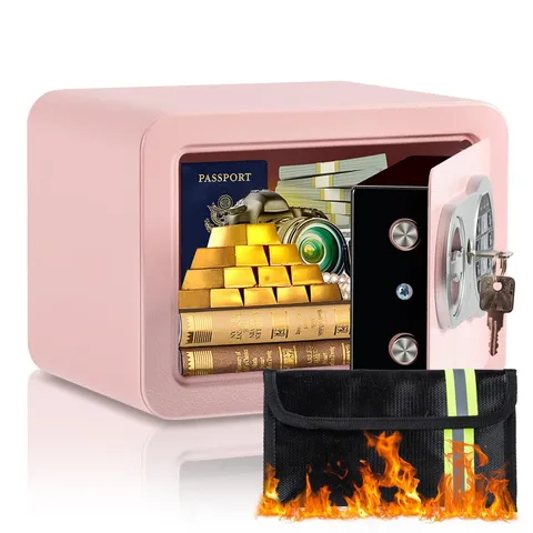 0.23 Cubic Feet Safe Box Fireproof Bag Digital Security Pink 6.69x9.06x6.69