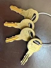 16120 DKS Doorking Replacement Key